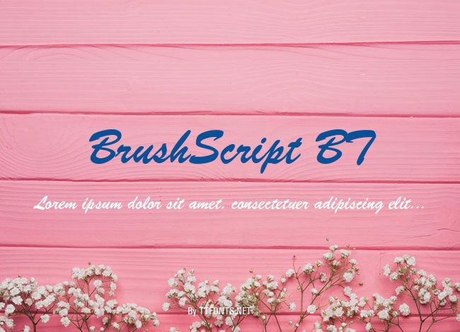 BrushScript BT example